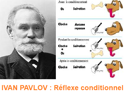 Pavlov : conditionnement réflexe (1849-1936)